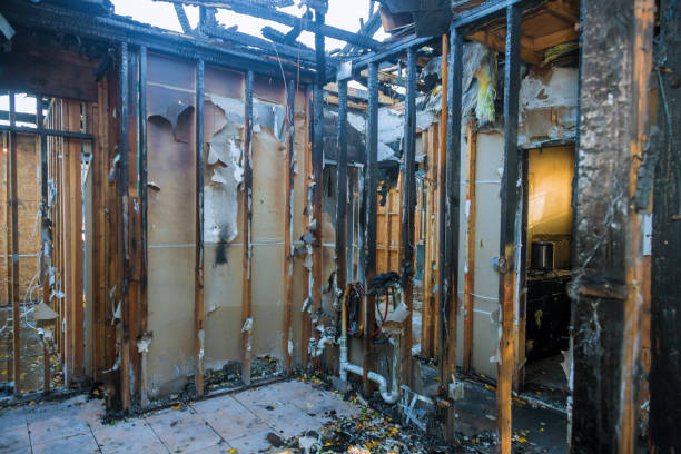 Professional Fire Damage Removal technician working in Compo, CT